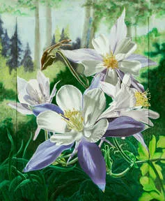Picture